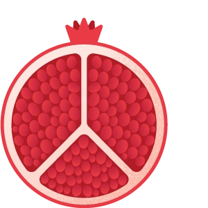 blog-inline-pomegranate-left